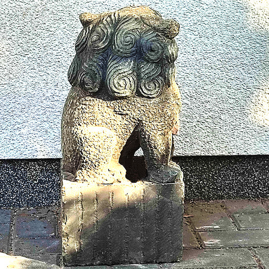 chinesisch Fu Hund Tempellöwen Tempelwächter Stein Statue